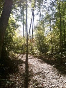 trail through Peter’s Creek Preserve